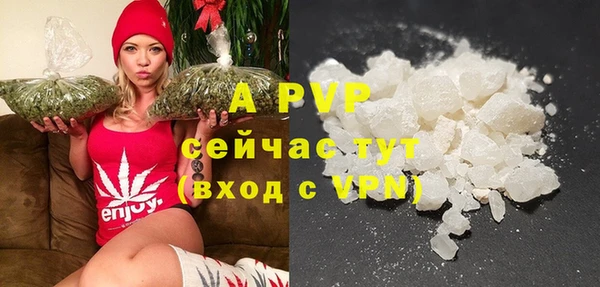 молекула духа Алексин
