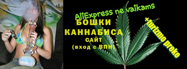 молекула духа Алексин