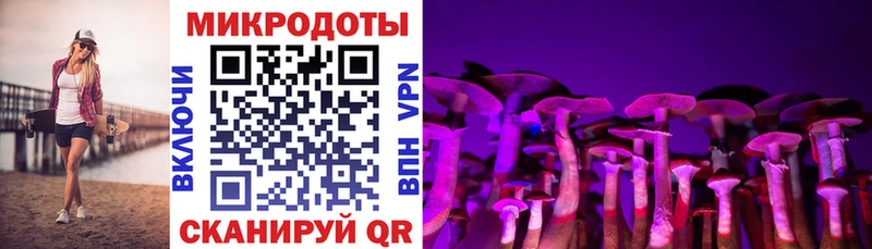 kraken сайт  Березники  Галлюциногенные грибы Cubensis 